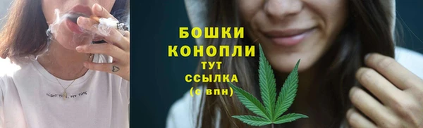 прущие грибы Абдулино