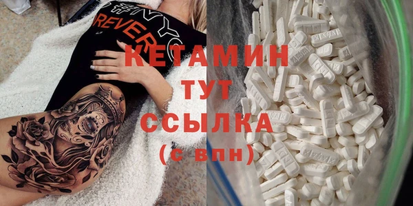 стаф Абаза
