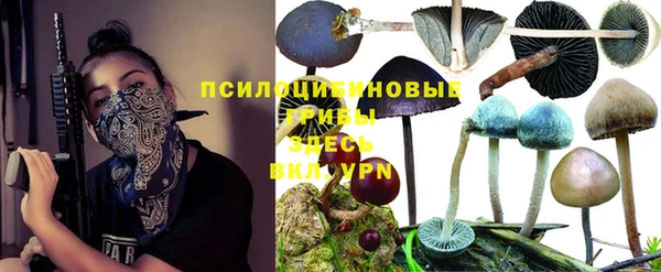стаф Абаза