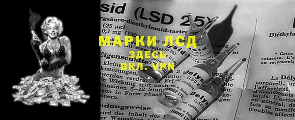 прущие грибы Абдулино